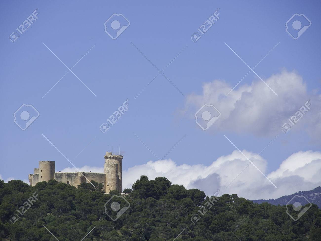 etiam-dictum-ipsum-a-felis