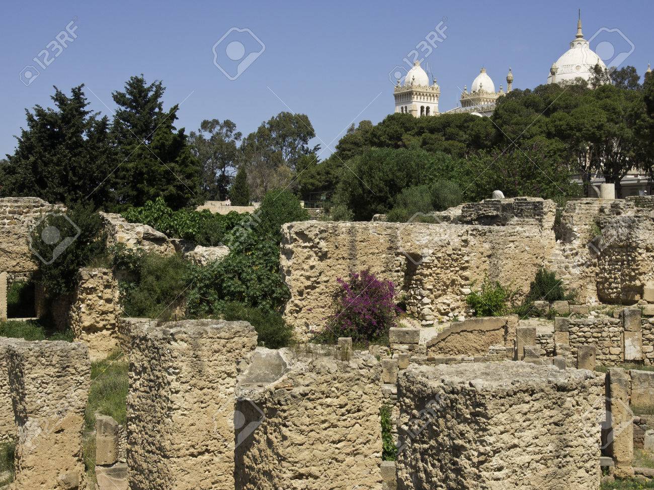 etiam-dictum-ipsum-a-felis