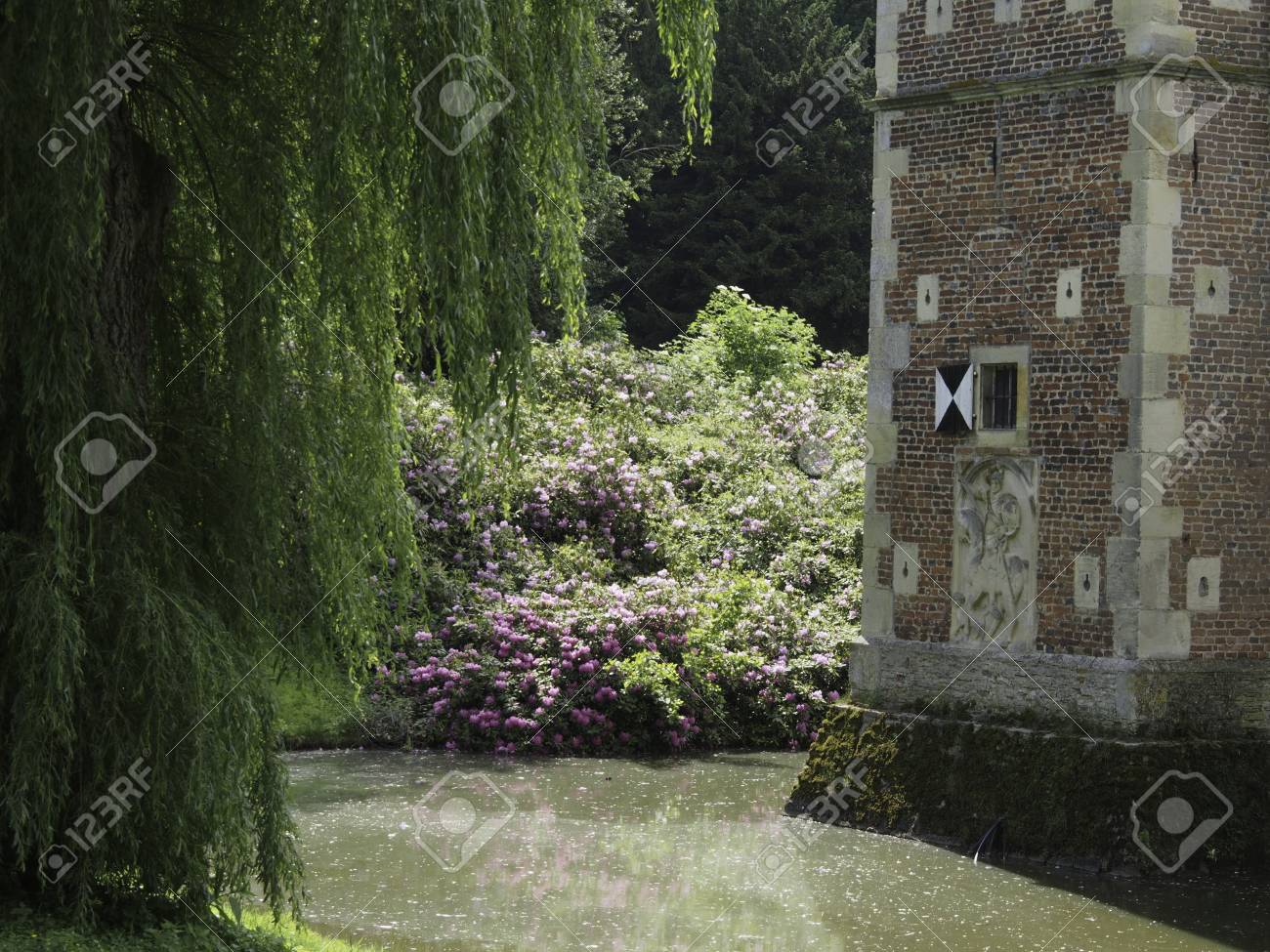 etiam-dictum-ipsum-a-felis