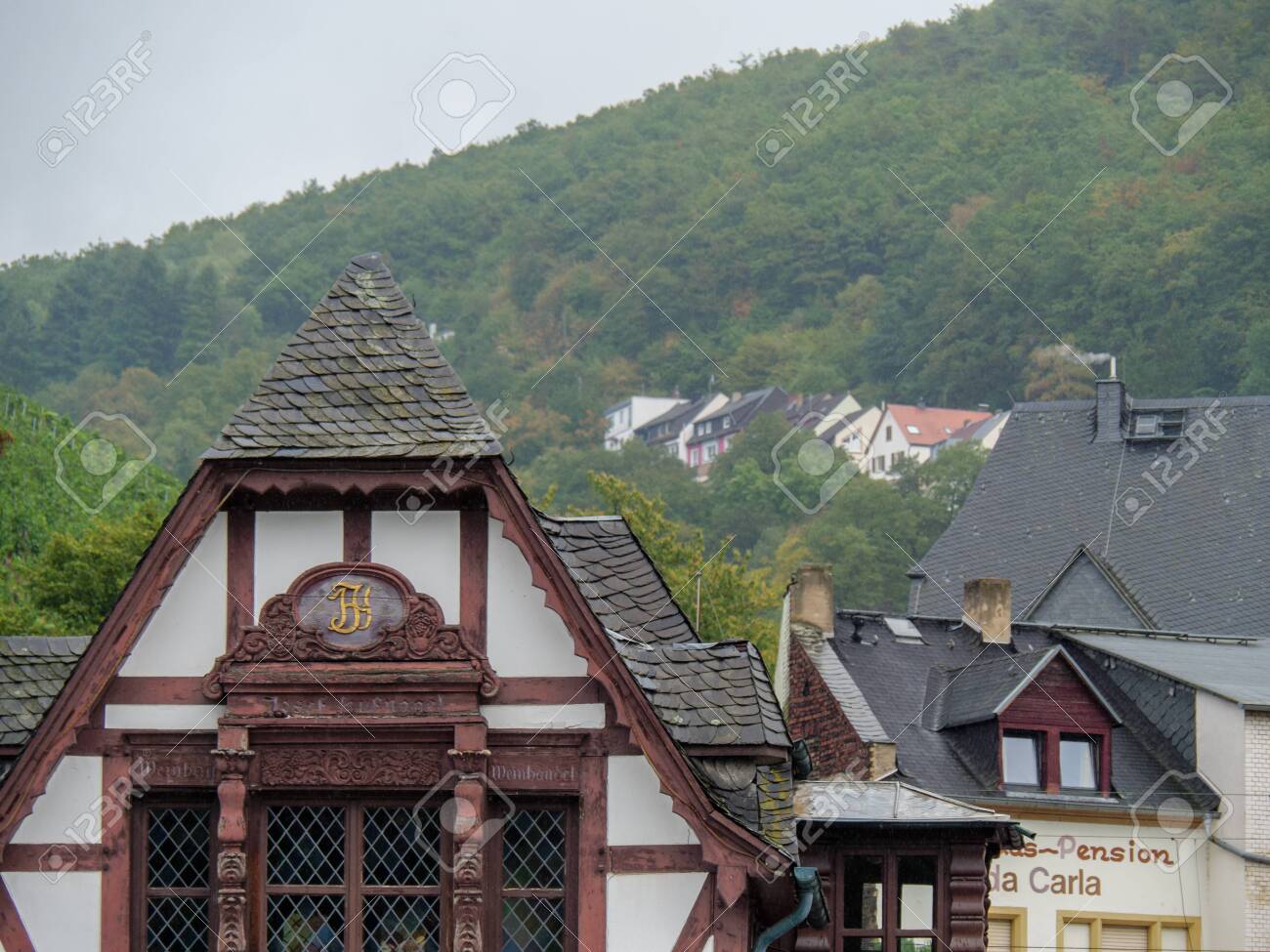 etiam-dictum-ipsum-a-felis