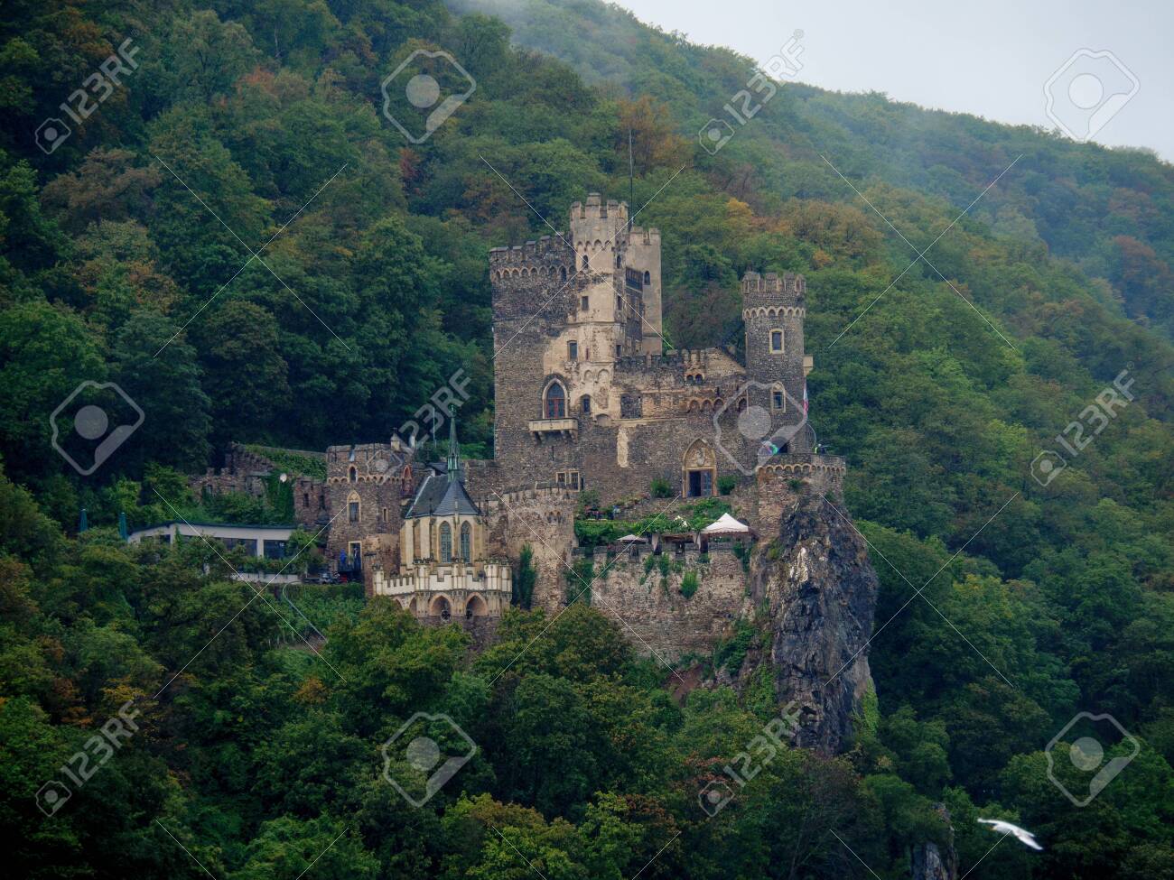 etiam-dictum-ipsum-a-felis