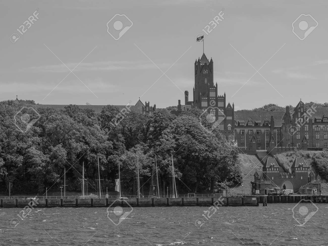 etiam-dictum-ipsum-a-felis