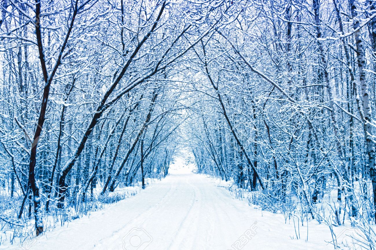 Image result for winter stock photos