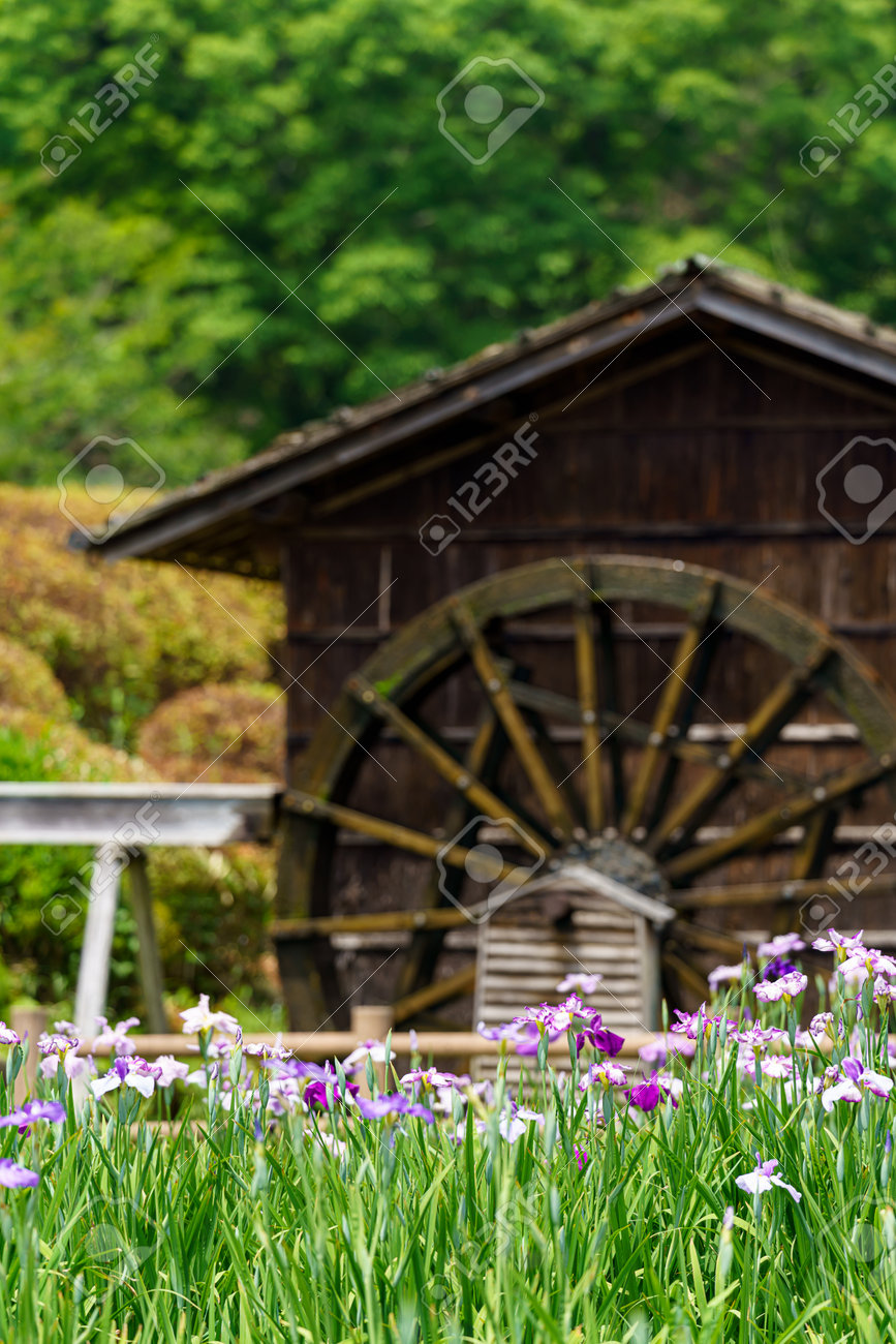 etiam-dictum-ipsum-a-felis