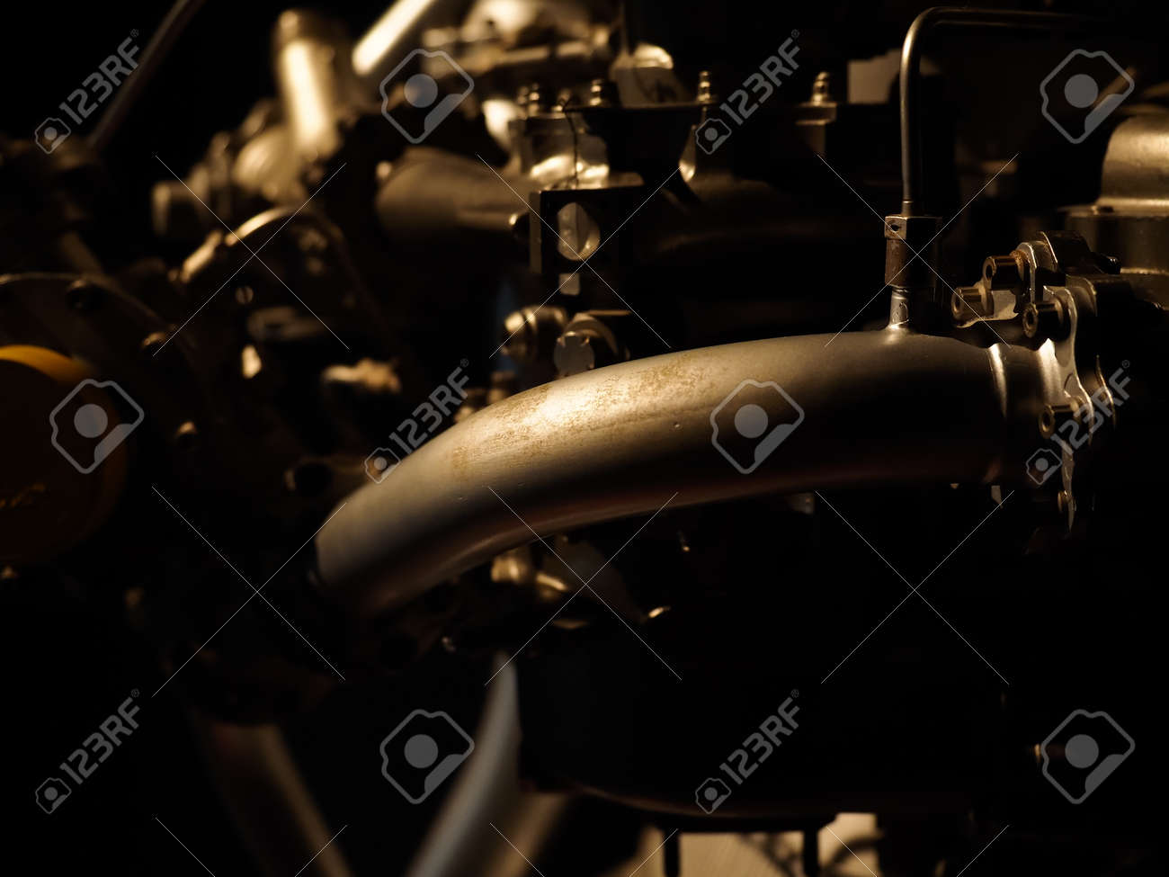 etiam-dictum-ipsum-a-felis