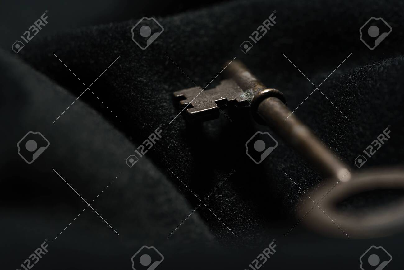 etiam-dictum-ipsum-a-felis