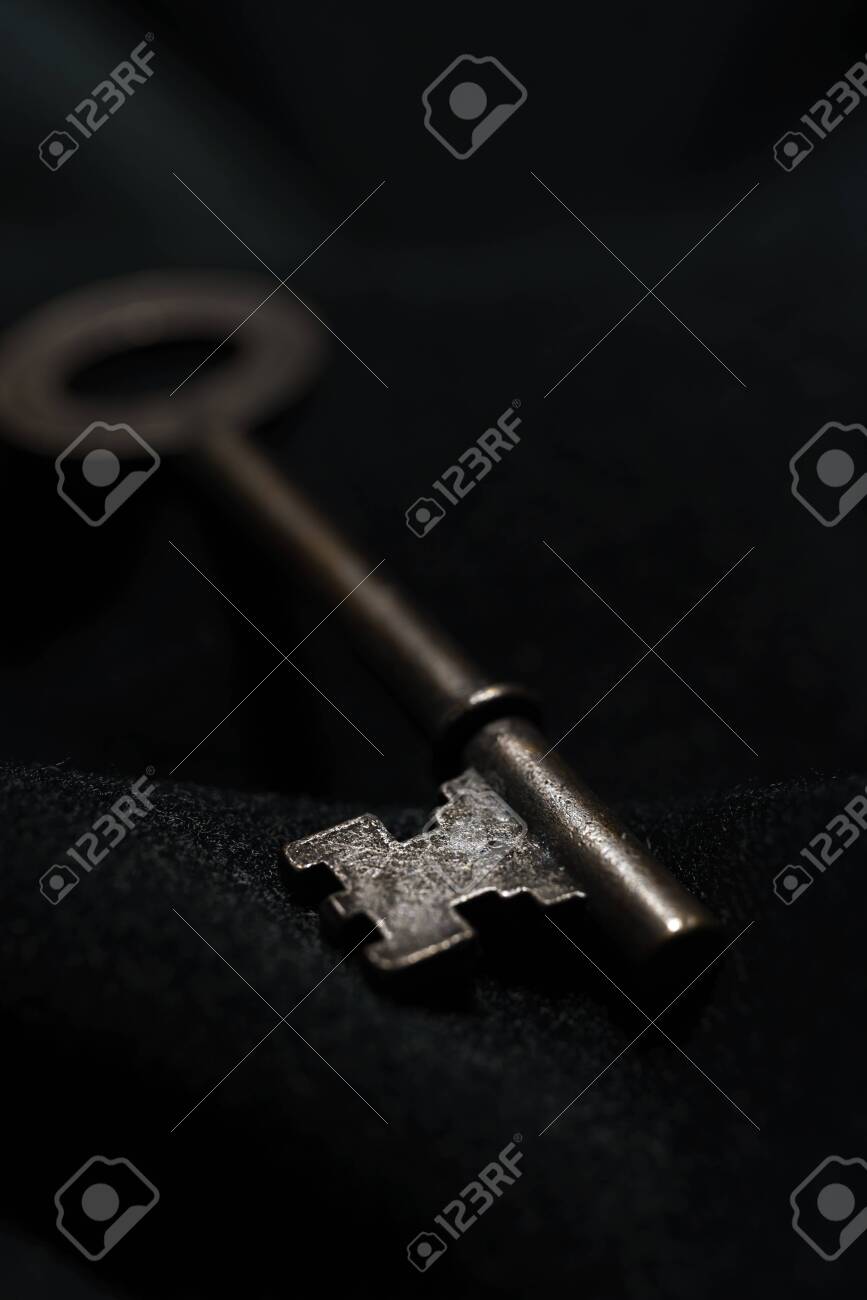 etiam-dictum-ipsum-a-felis