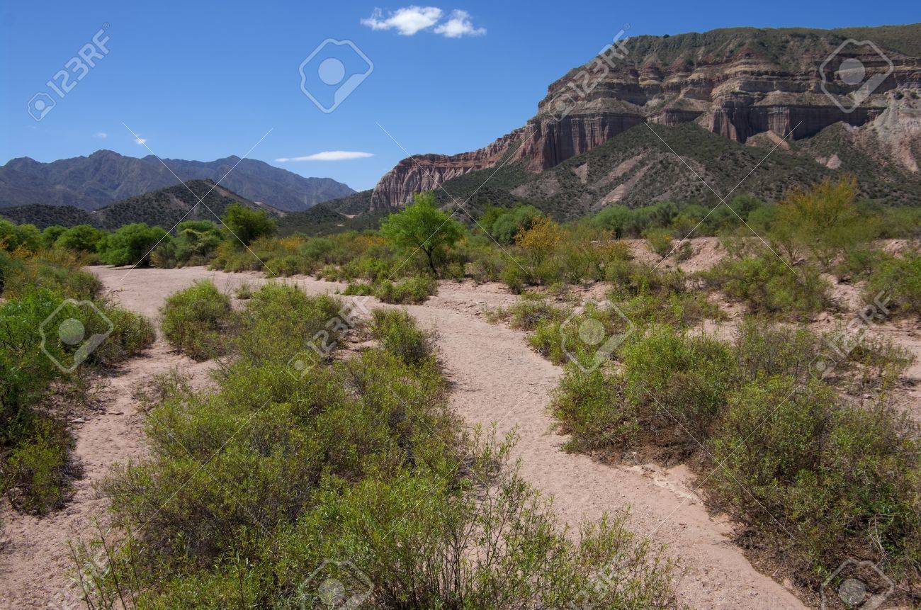 アロヨ 砂漠のブラシ アルゼンチンのラリオハ地方の鉄砲水の一時的な排水路を提供する乾燥したストリーム ベッドで育ちます の写真素材 画像素材 Image