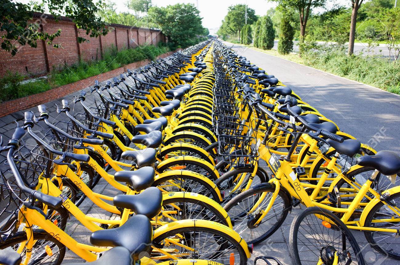 ofo stock price