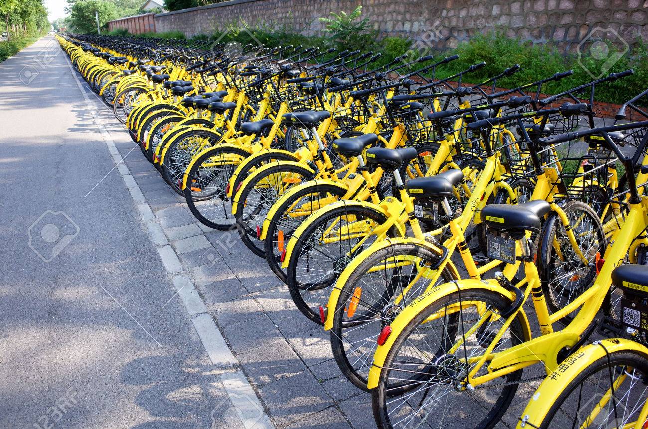 ofo stock price