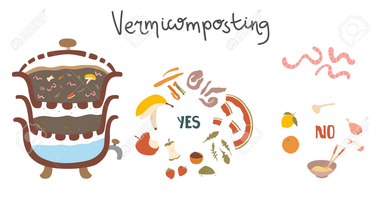 Vermicomposting Worm Waste Management Illustration, With Illustration Of  Products That Can And Can Not Be Put In Composter. Eco-friendly Zero-waste  Practice. Doodle Illustration. Royalty Free SVG, Cliparts, Vectors, and  Stock Illustration. Image, image size:1300x688