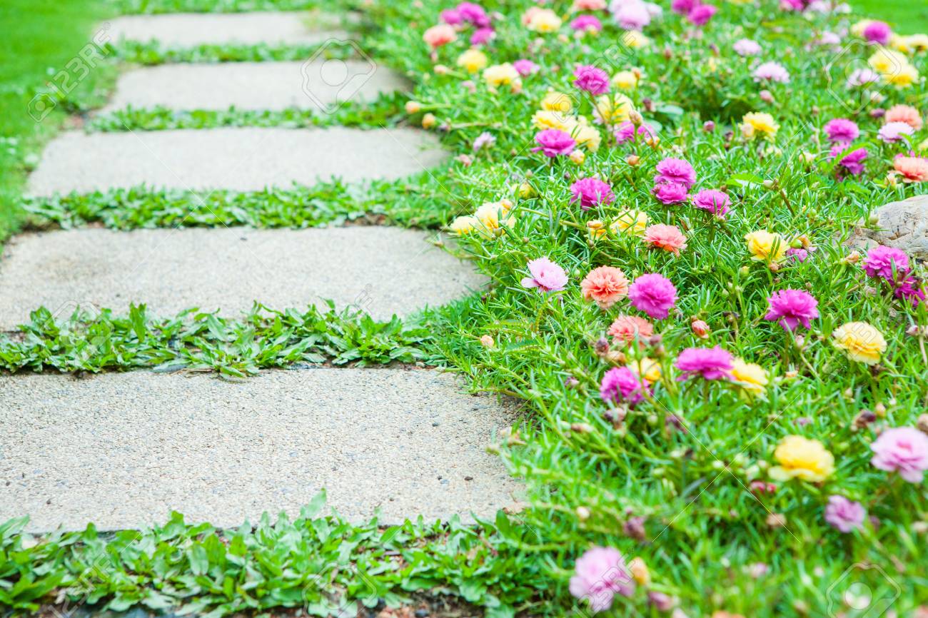 園芸花の細道 の写真素材 画像素材 Image