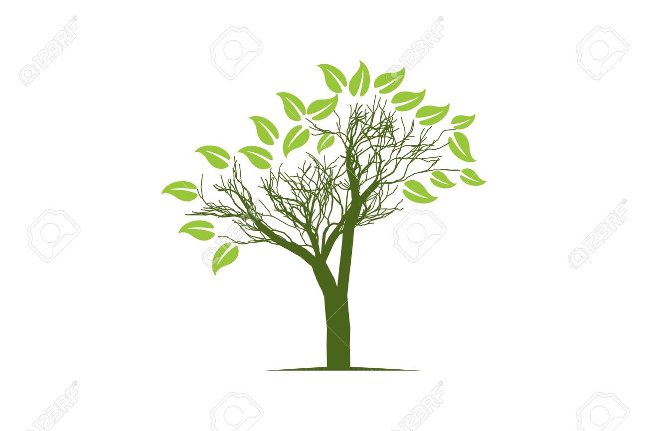 abstract tree logo designs inspiration isolated on white background tree logo design