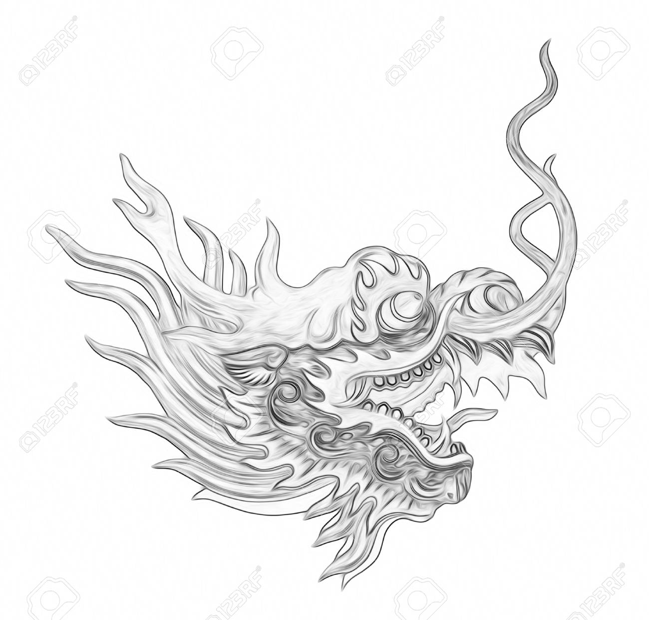 Head Dragon Painting Isolated On White Background Stock Photo, Picture and  Royalty Free Image. Image 69348338., image size:1300x1241