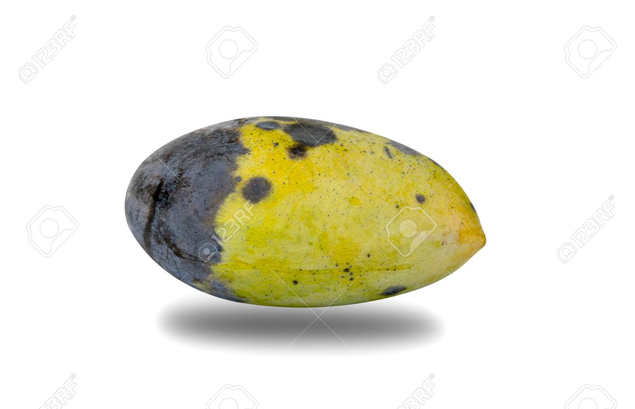 Spoiled and Rotten Mango Fruit with Skin - Stock Illustration [62288874]  - PIXTA