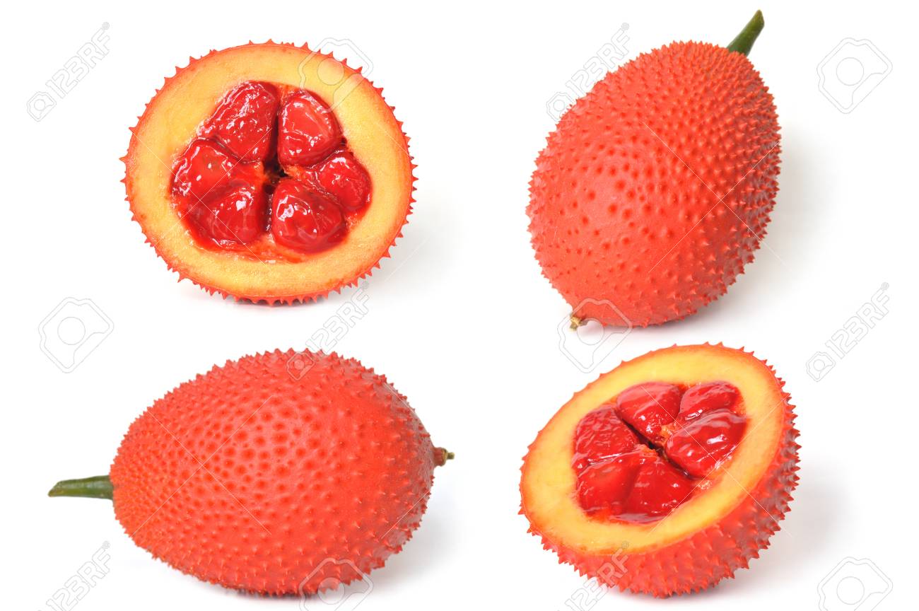Thailand Original 10 Seeds Natural Organic GAC FRUIT Momordica Free Shipping Thailand Original 10 Seeds Natural Organic GAC FRUIT Momordica Free Shipping