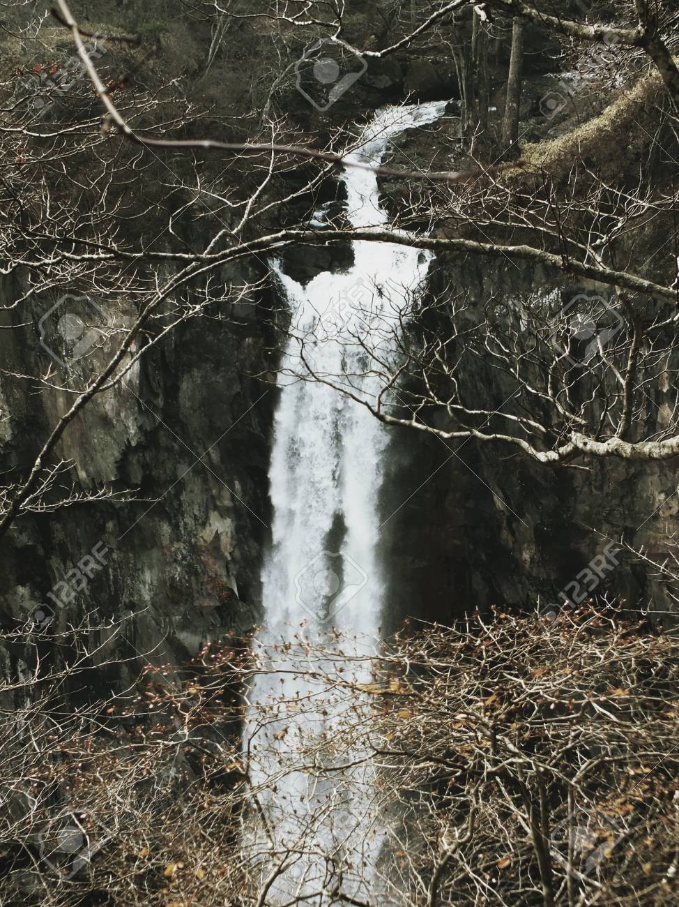 etiam-dictum-ipsum-a-felis