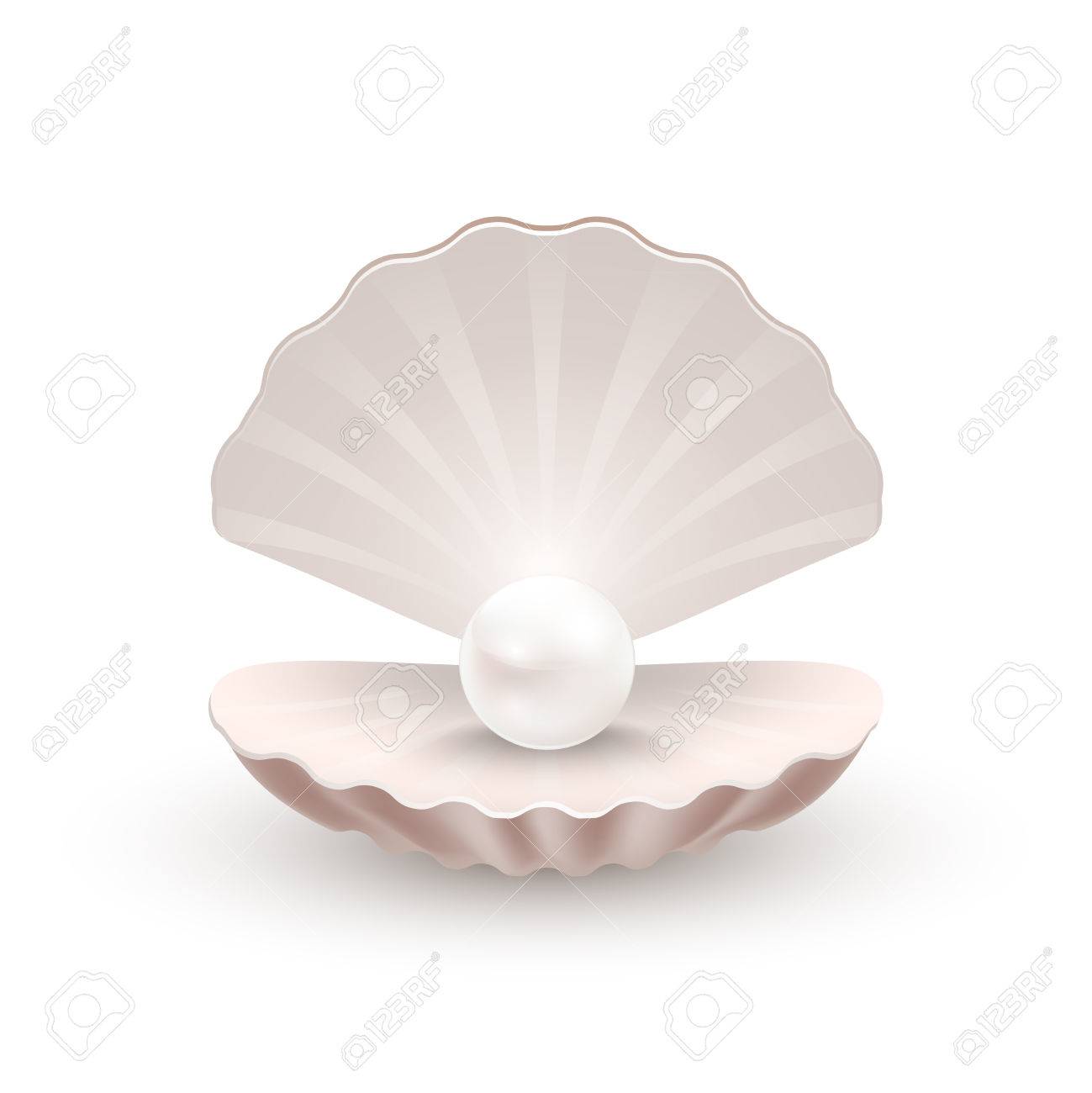 真珠の内側 上分離白 ベクトル イラスト シェル のイラスト素材 ベクタ Image 真珠の内側 上分離白 ベクトル イラスト シェル のイラスト素材 ベクタ Image