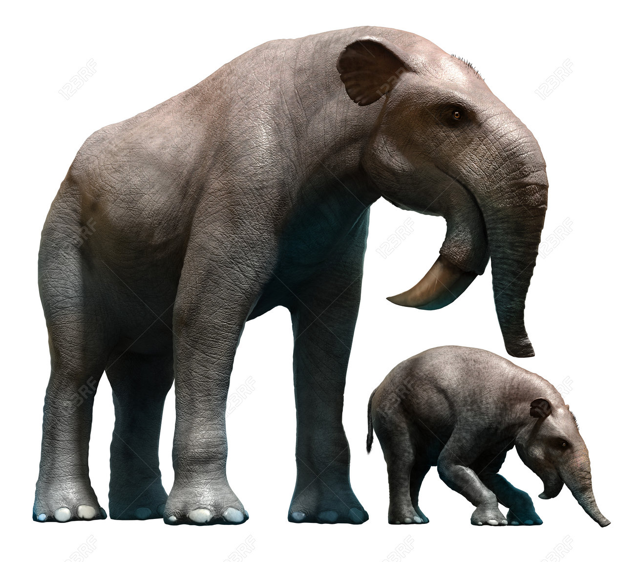 https://previews.123rf.com/images/warpaintcobra/warpaintcobra1612/warpaintcobra161200090/68972017-deinotherium-and-calf.jpg