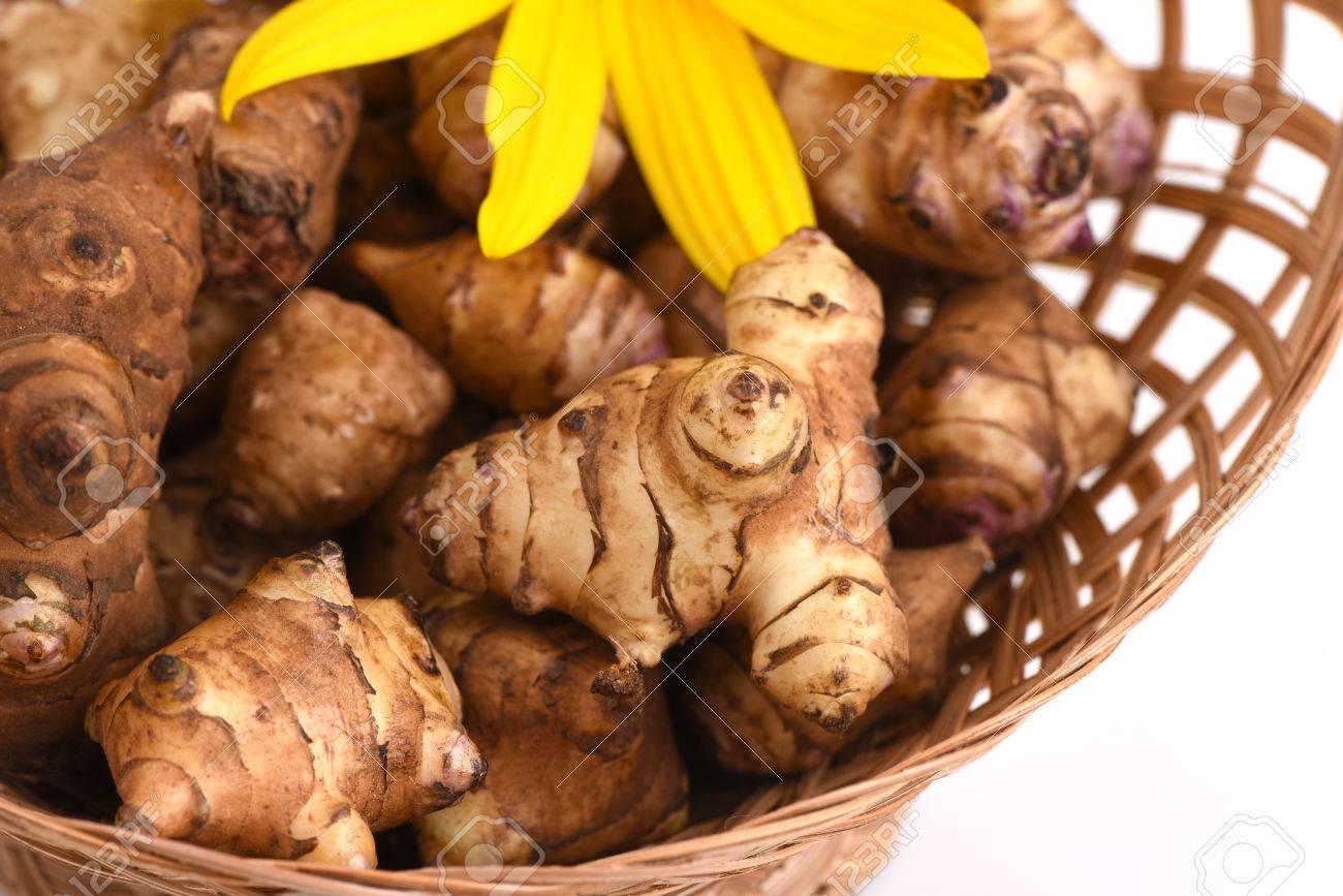 Healing properties of Jerusalem artichoke. Application of Jerusalem artichoke: recipes 6 Healing properties of Jerusalem artichoke. Application of Jerusalem artichoke: recipes 46