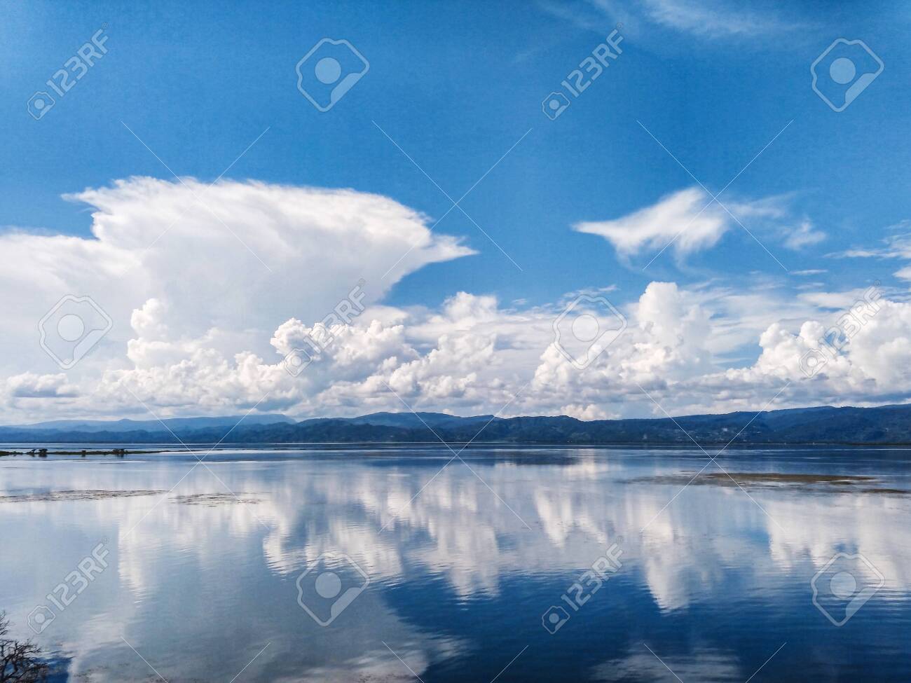 etiam-dictum-ipsum-a-felis