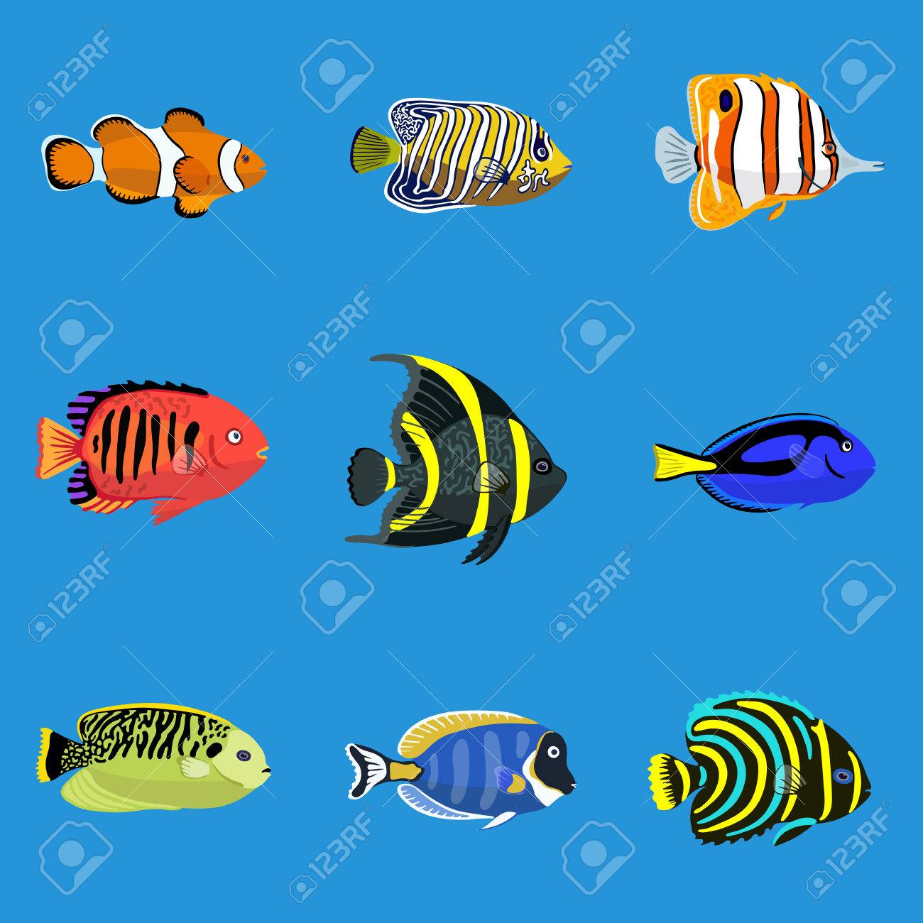 happy birthday me to you bears