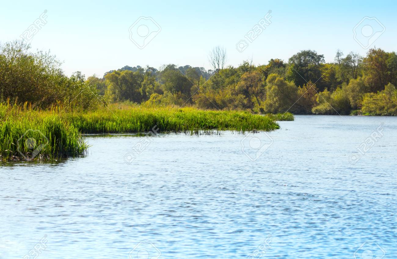 water surface and long