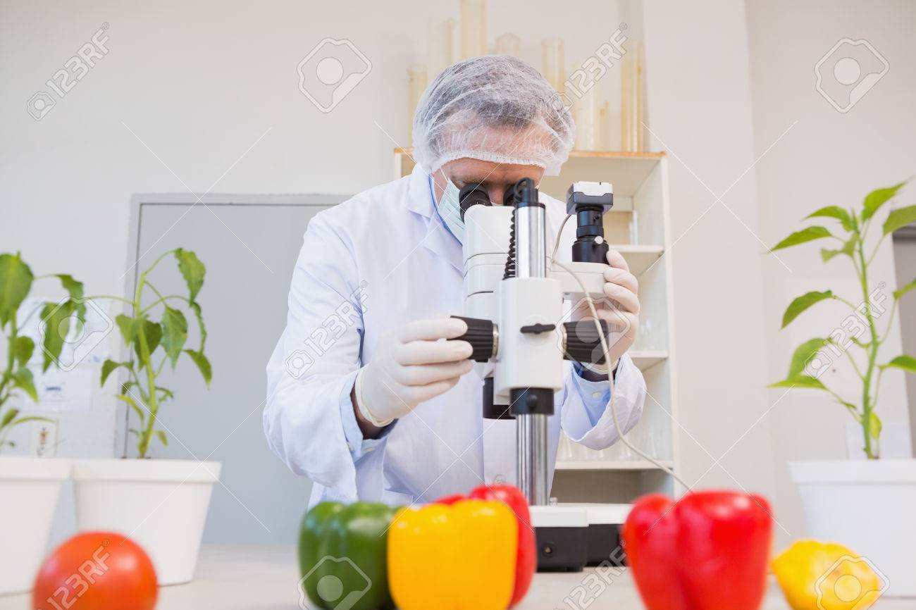 https://previews.123rf.com/images/wavebreakmediamicro/wavebreakmediamicro1504/wavebreakmediamicro150416003/38478424-food-scientist-looking-through-a-microscope-in-laboratory.jpg