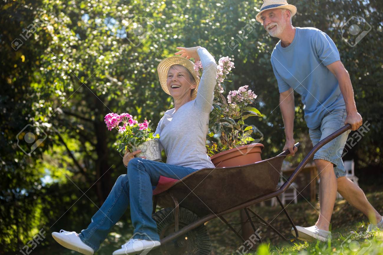 晴れた日に庭で手押し車で遊ぶシニア カップル の写真素材 画像素材 Image