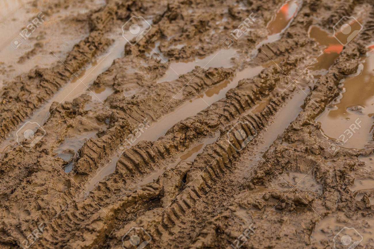 texture of wet brown