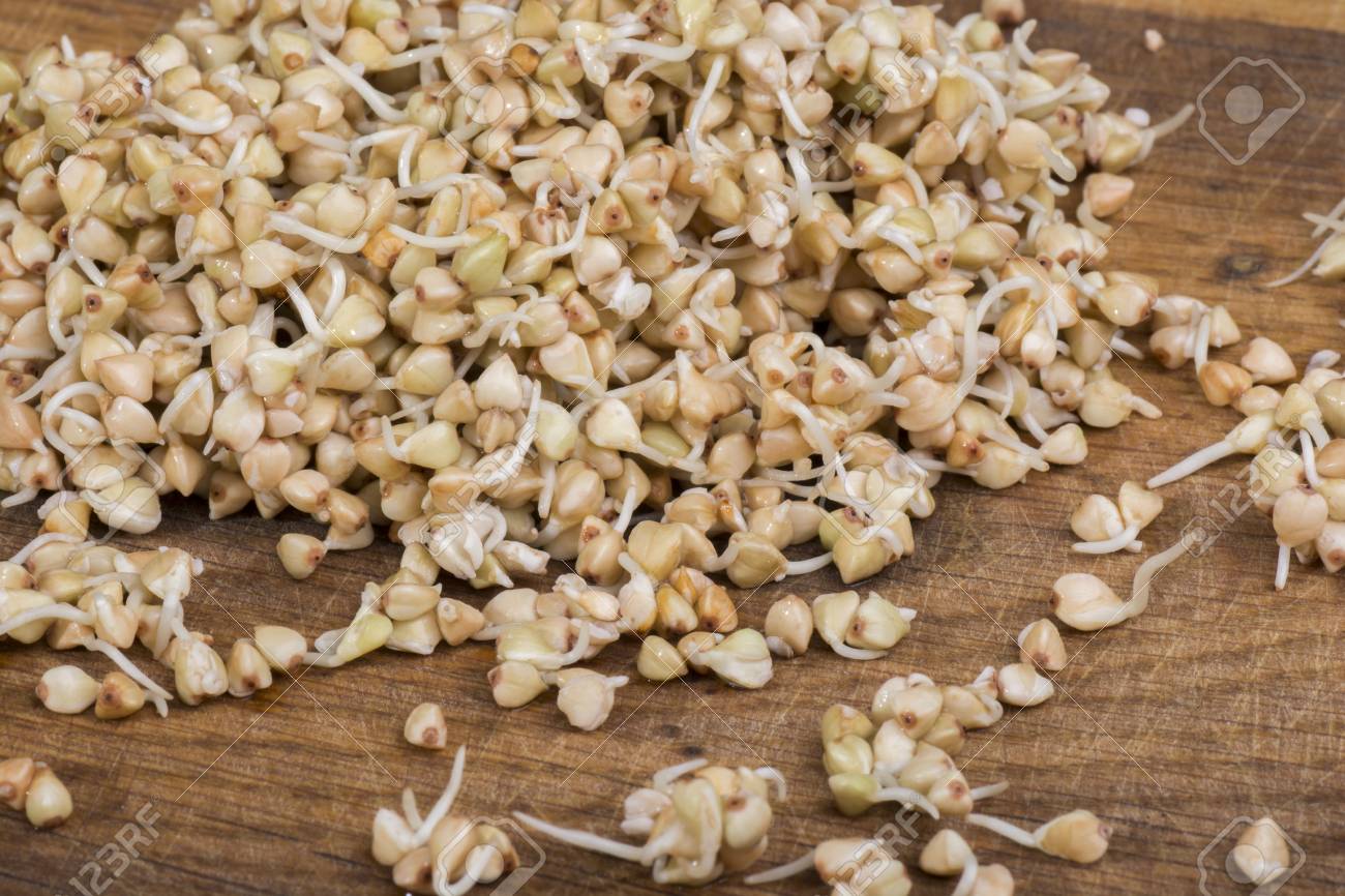 Sprouts of buckwheat groats on wooden table - 60070020 Sprouts of buckwheat groats on wooden table - 60070020