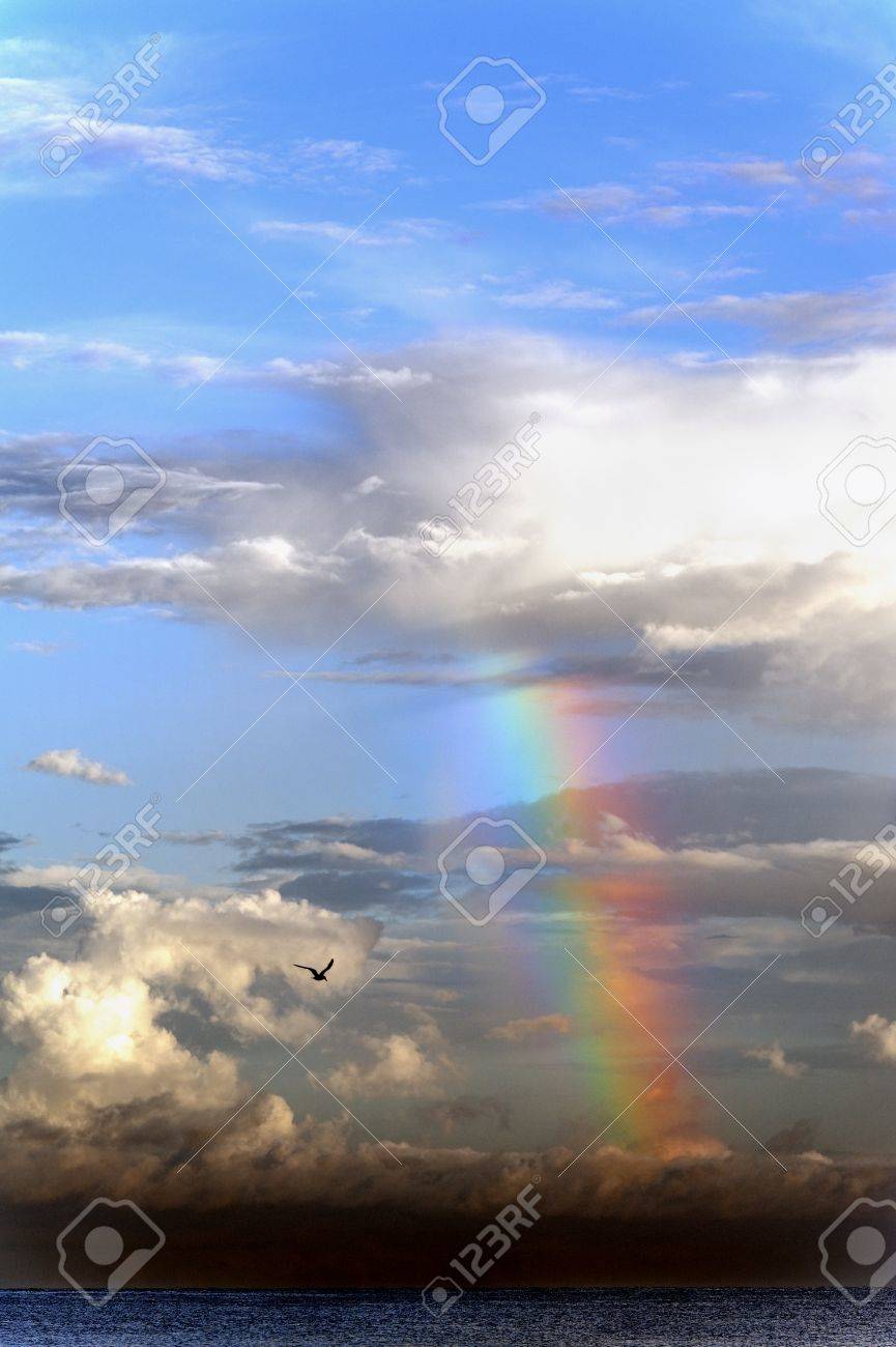 鮮やかな色の虹海で雲から来ています の写真素材 画像素材 Image