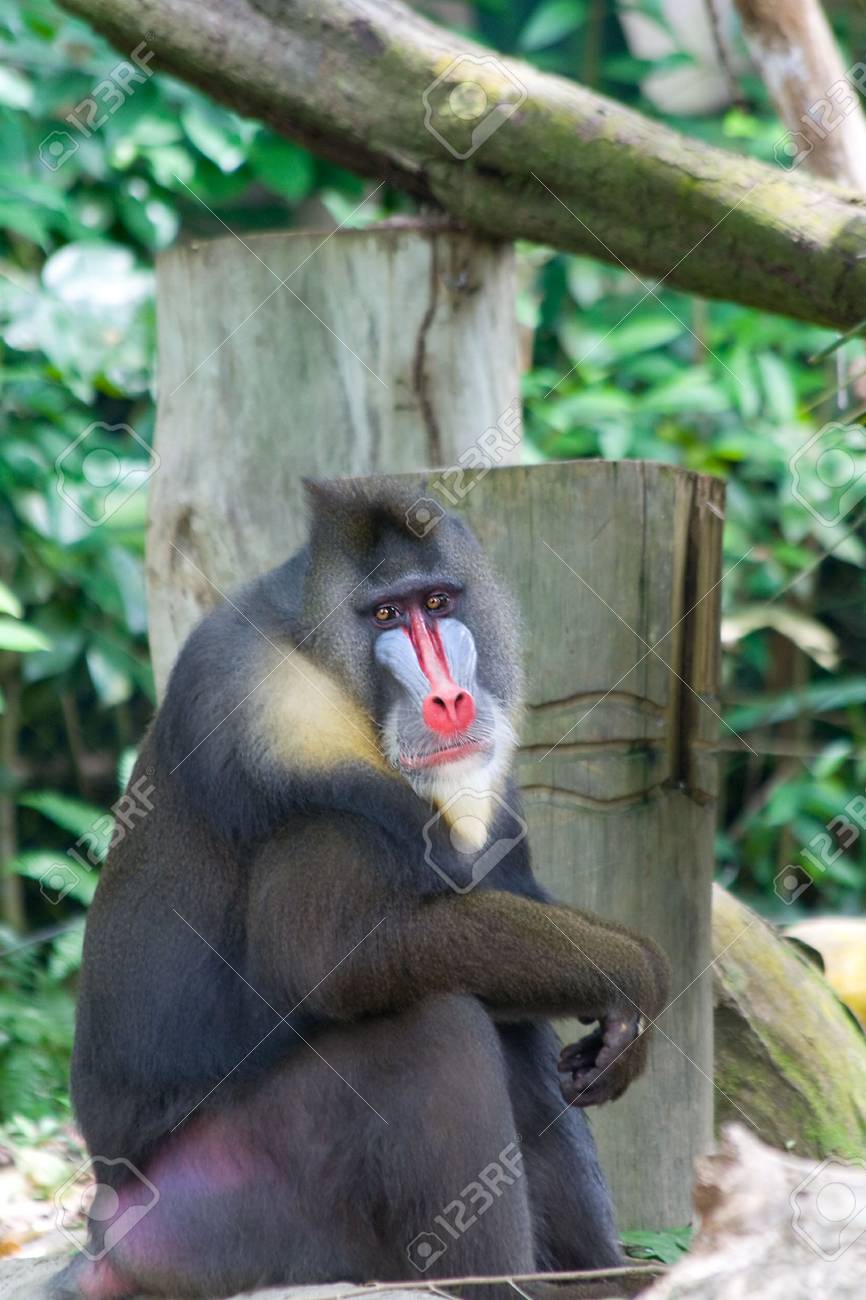 etiam-dictum-ipsum-a-felis