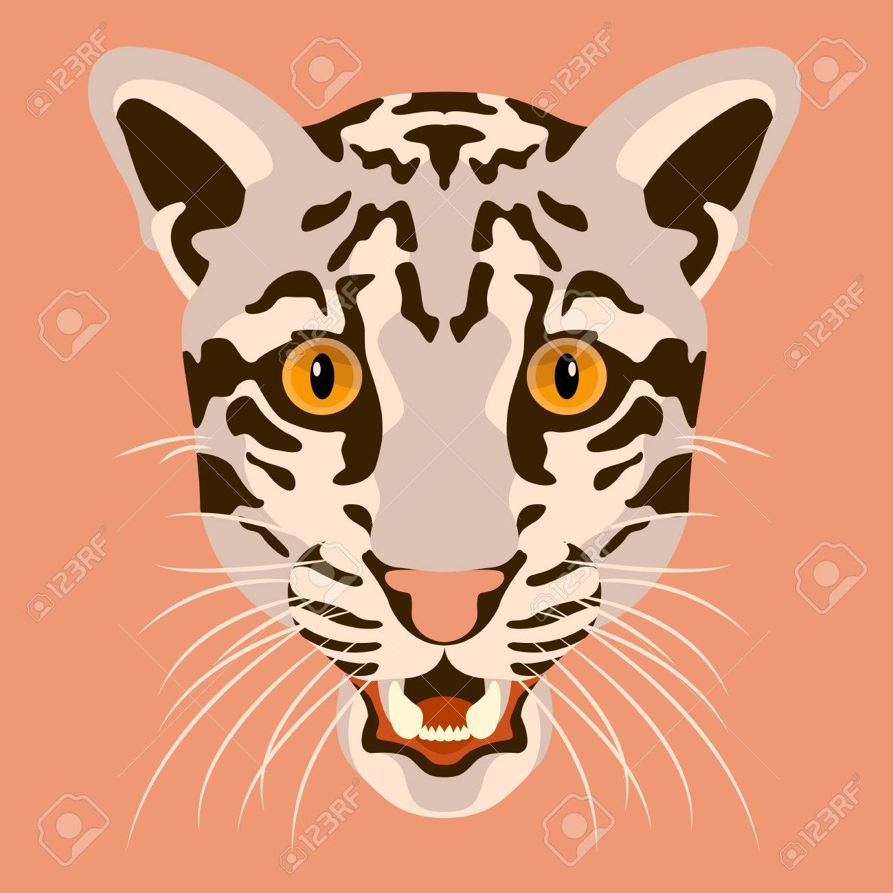 ヒョウの図頭顔を曇らせたのイラスト素材 ベクタ Image