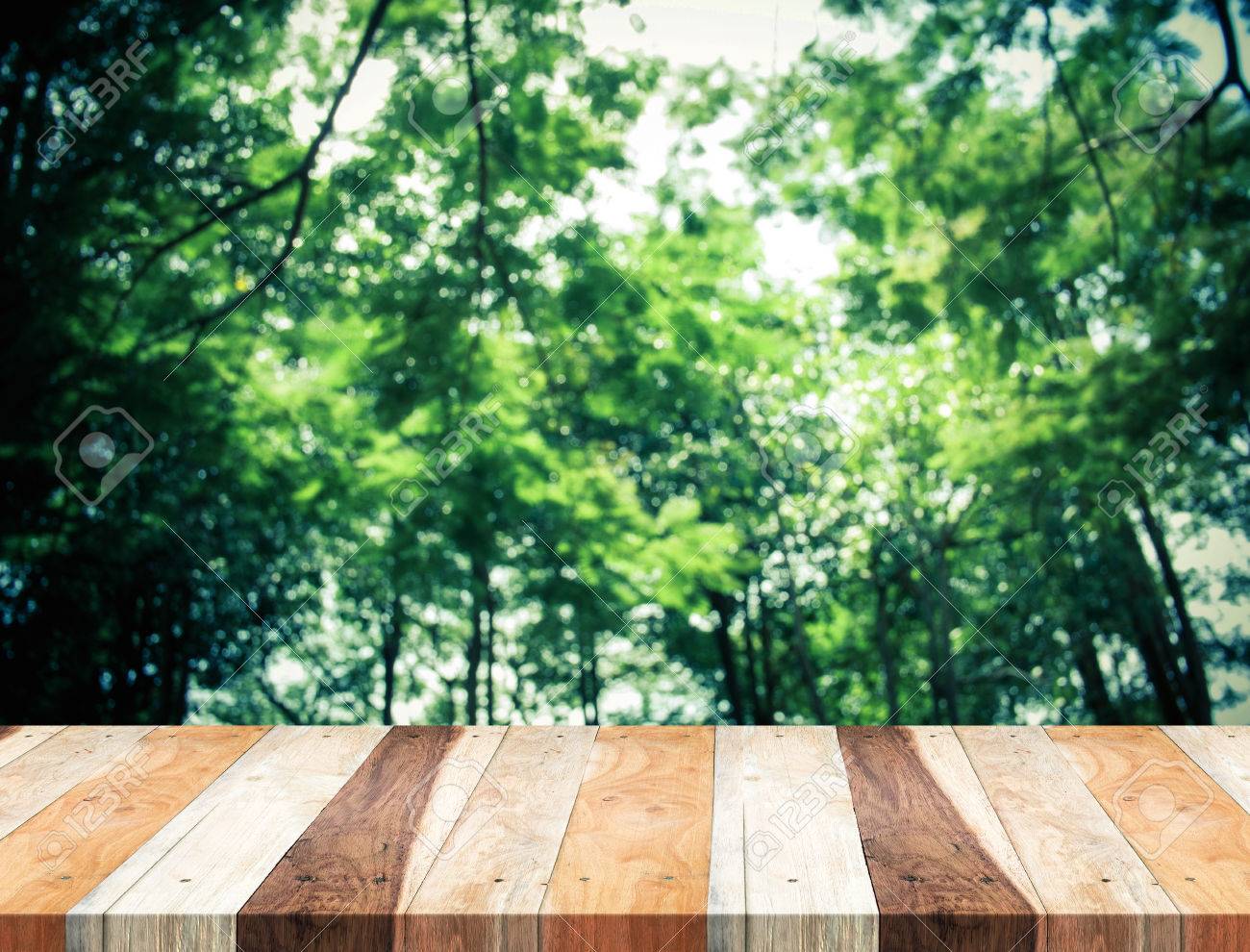 forest template