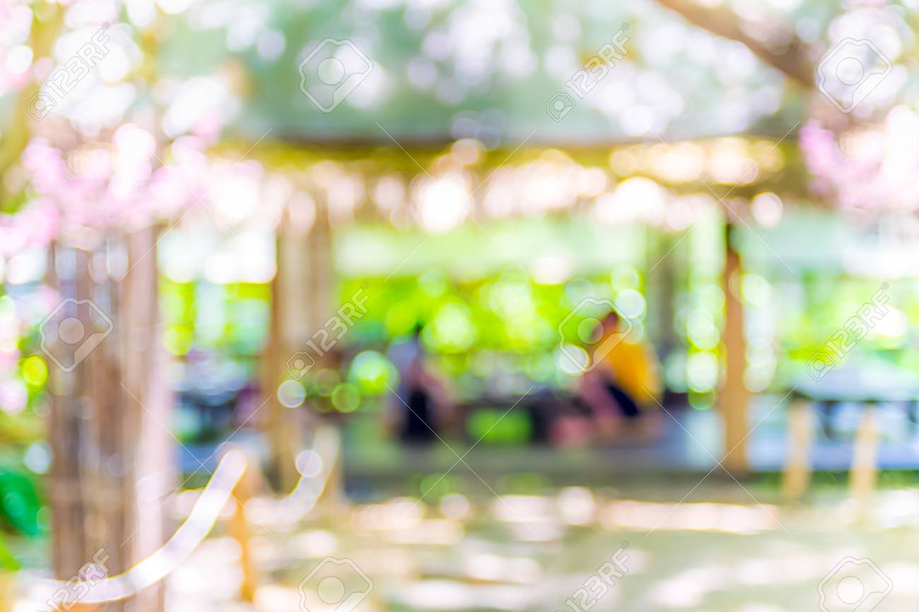 Blurred Background: Garden Restaurant Blur Background With Bokeh Light.  Stock Photo, Picture And Royalty Free Image. Image 55510107.