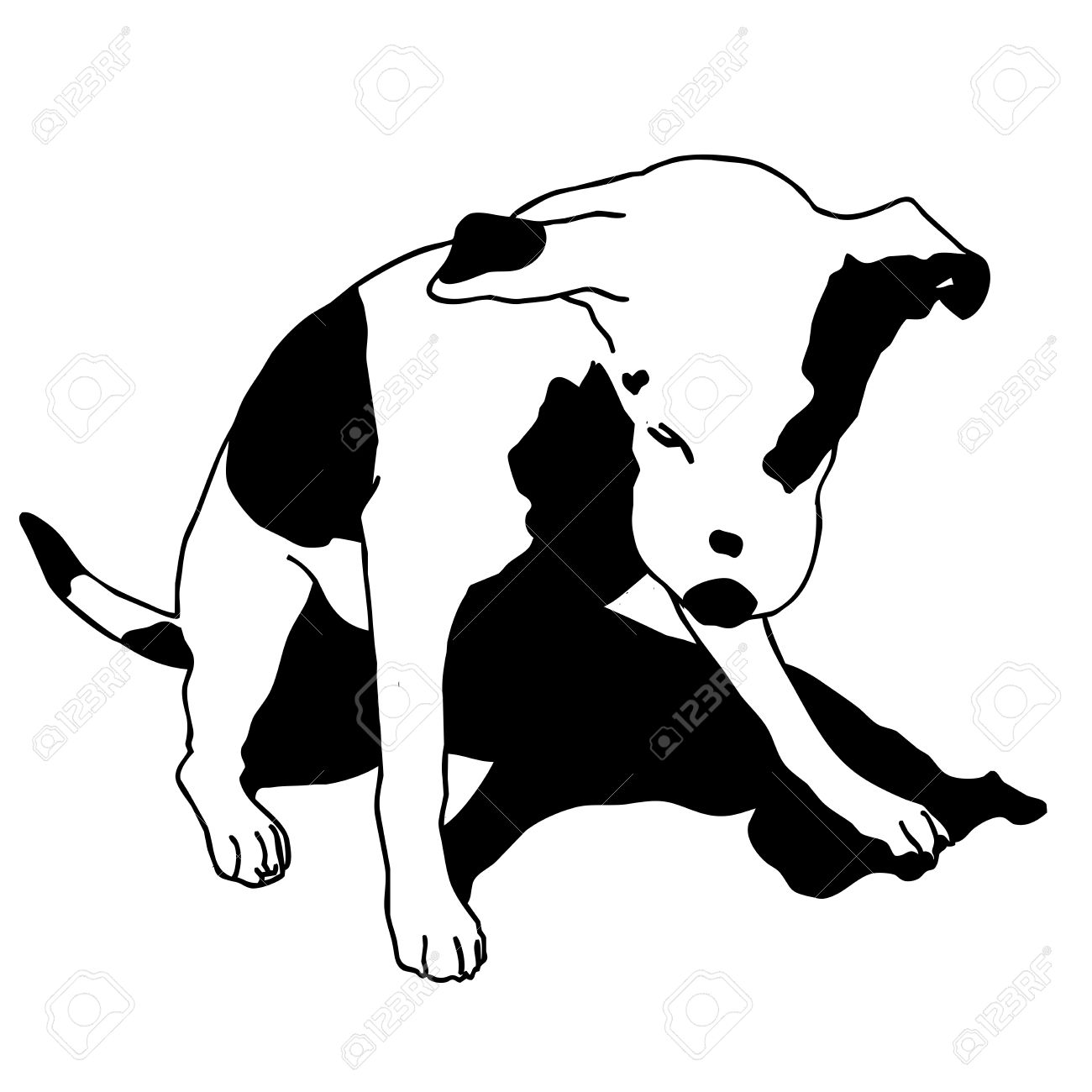 Chien Noir Et Blanc Vecteur Assis Perruque Intelligente Et Cherie