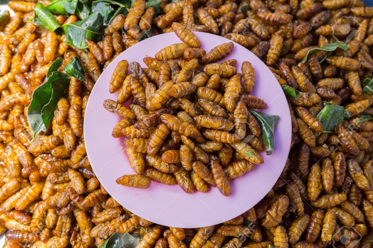 Image result for Fried worms