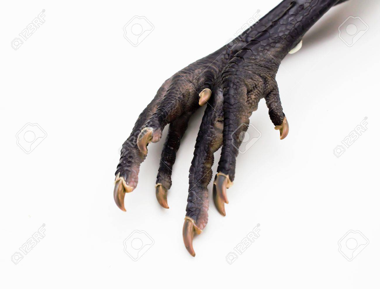 etiam-dictum-ipsum-a-felis