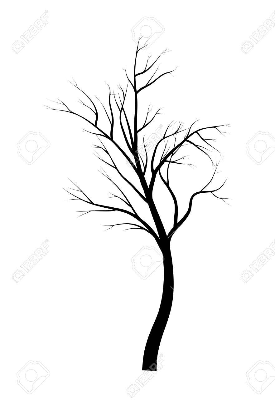 Bare Tree Branch Silhouette Vector Symbol Icon Design Beautiful Royalty Free Cliparts Vectors And Stock Illustration Image