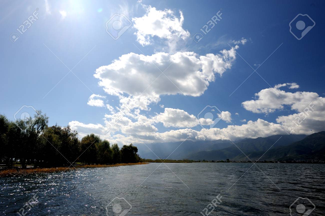 etiam-dictum-ipsum-a-felis