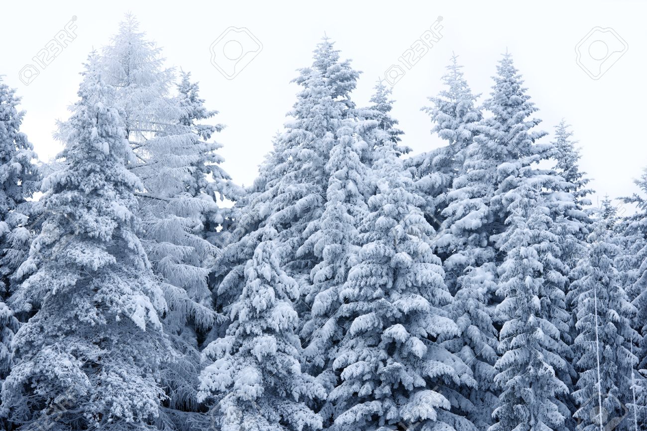 Snow Storm Mountain Snow Storm Mountain