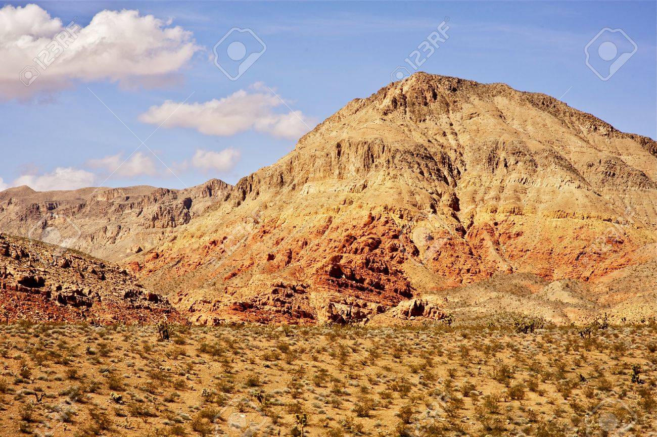 nevada raw desert landscape sandy hills and desert plants nevada