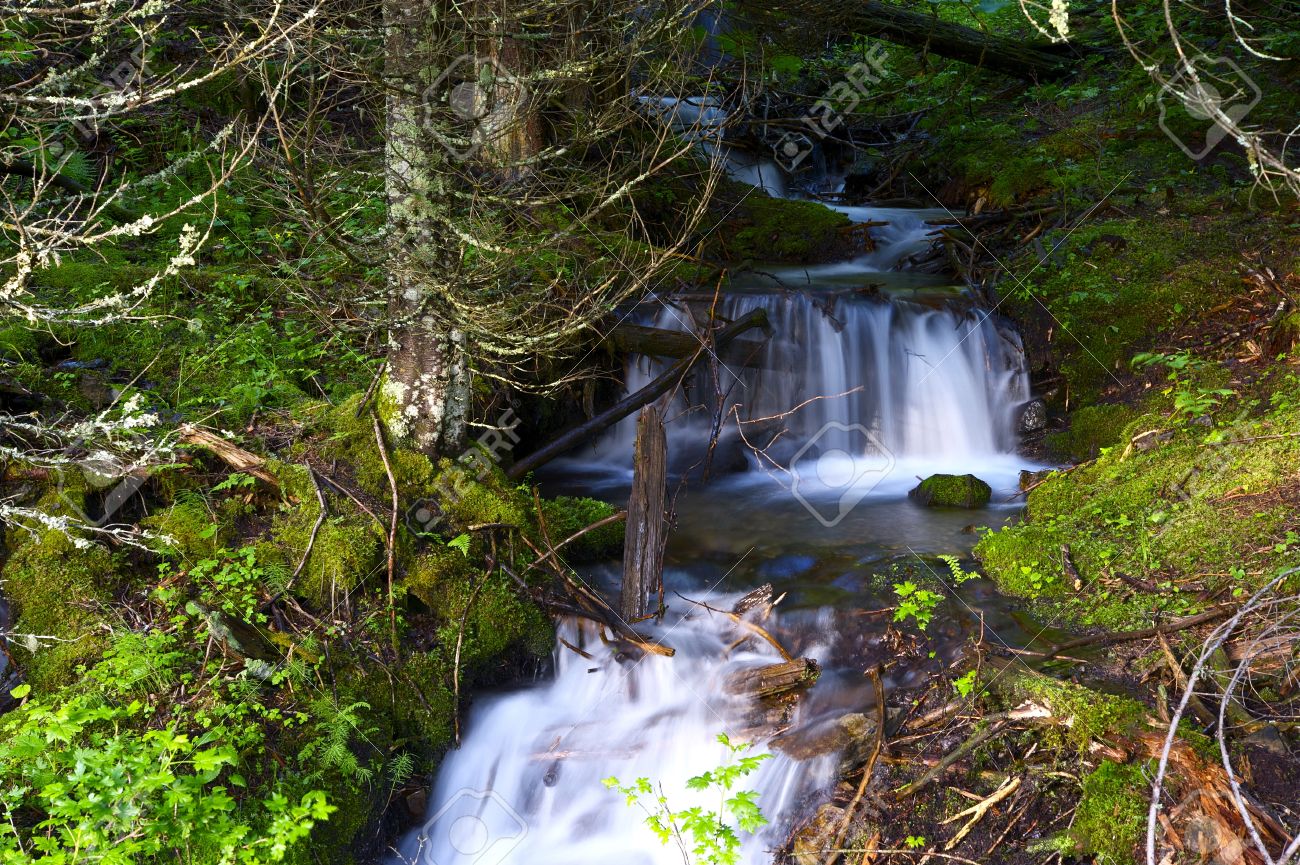 小さな滝 モンタナの自然のクローズ アップ 小さな春山川 の写真素材 画像素材 Image