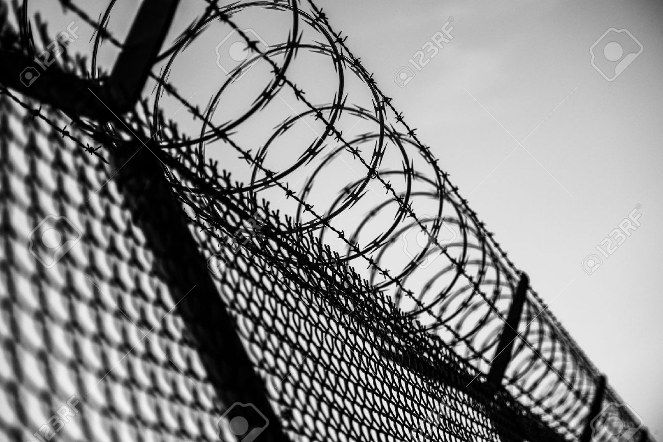 Barbed Wire Fence Prison Barbed Wire Fence Prison