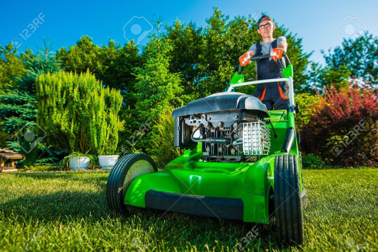 images of lawn care