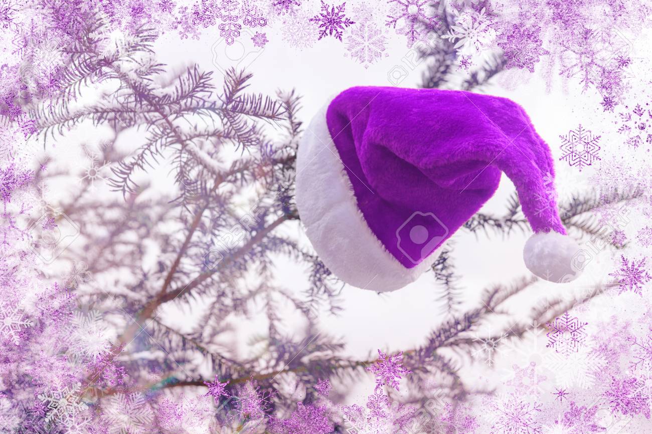 purple santa hat