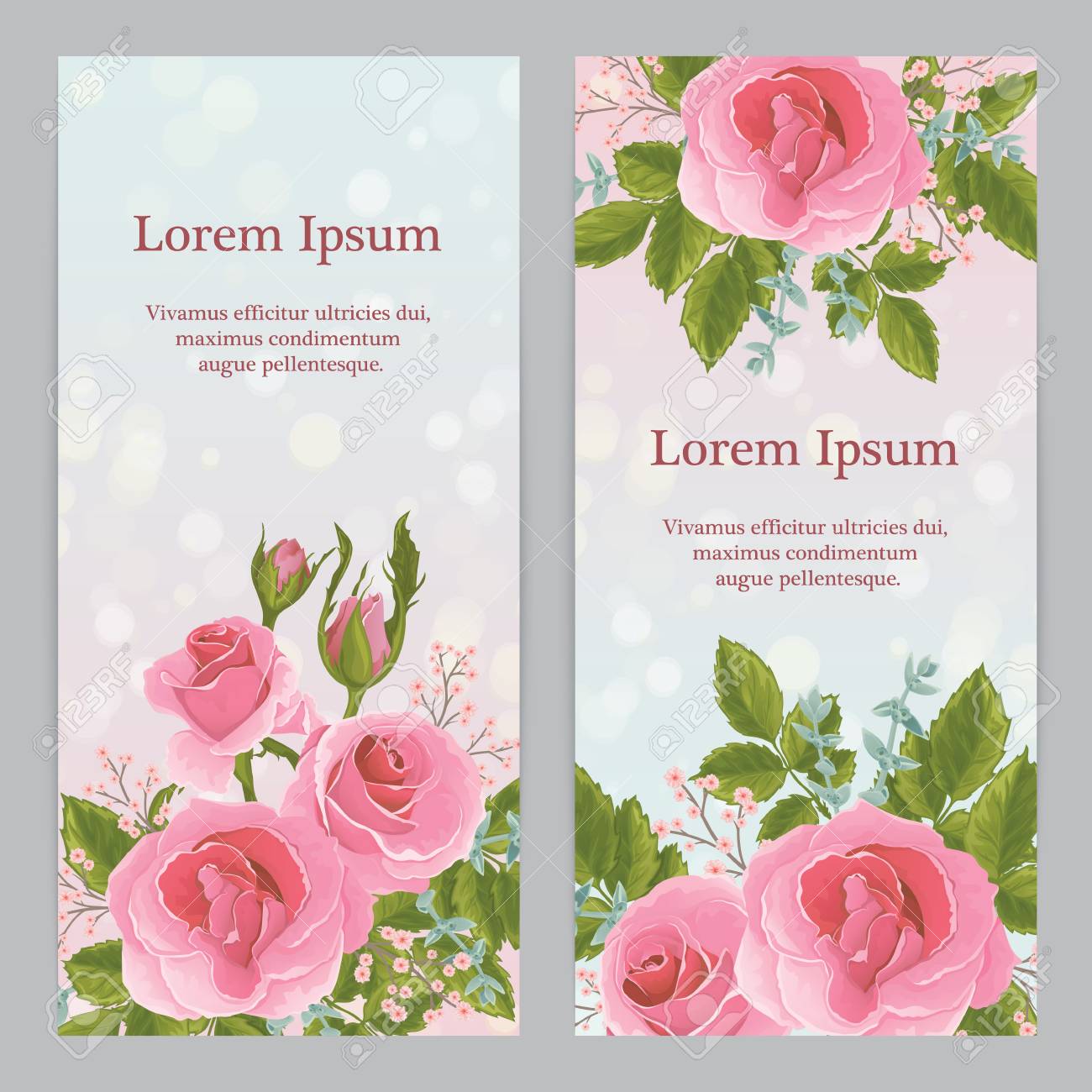 Vettoriale Fiori Grafici Rosa Rosa Inglese Per Invito A Nozze O Biglietto Di Auguri David Austin E Salito Image