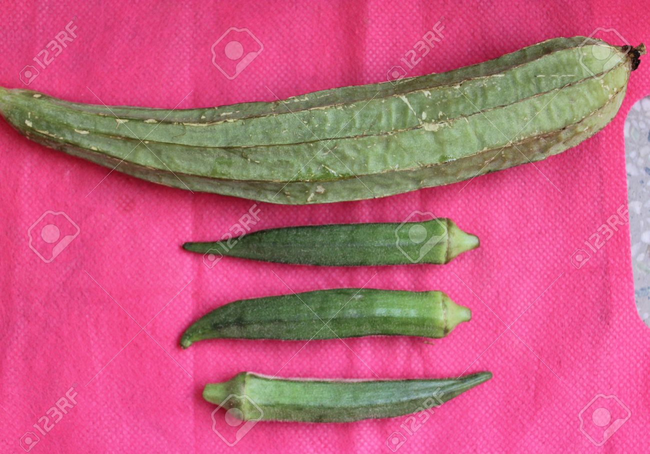 オクラ 野菜として使用両方可逆的アオイ科と中国語オクラ ヘチマ ウリ科の Acutangula の の写真素材 画像素材 Image