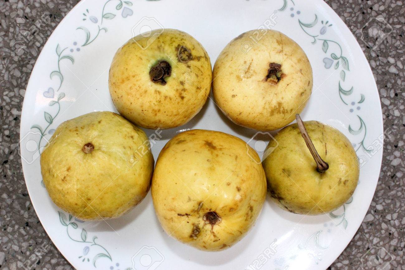 グアバ シジウム含ま フトモモ 産常緑高木白い花と軟白や赤肉とたくさんの種子の黄色がかった白い果物 の写真素材 画像素材 Image グアバ シジウム含ま フトモモ 産常緑高木白い花と軟白や赤肉とたくさんの種子の黄色がかった白い果物 の写真素材 画像素材 Image